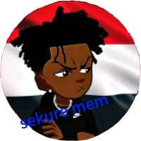 TikTok Account - sekure.meme