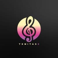 TikTok Account - temitaszz