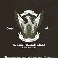 TikTok Account - wail44998