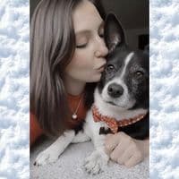 TikTok Account - fur.shadow