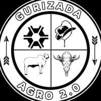 TikTok Account - gurizada.do.agro2.0