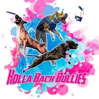 TikTok Account - hollabackbullies