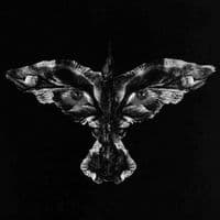 TikTok Account - listeningforthesoul