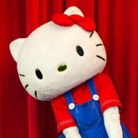 TikTok Account - hellokittylatinoamerica