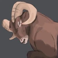 TikTok Account - scitzophren