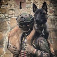 TikTok Account - dogvids.edits