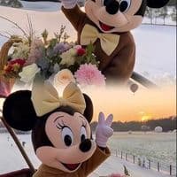 TikTok Account - topeinfluence2