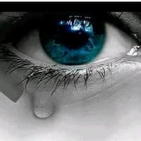 TikTok Account - sadabahaar8080