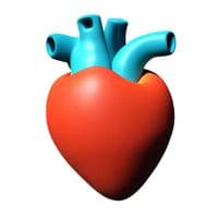 TikTok Account - real_irfo