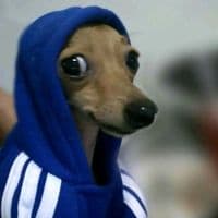 TikTok Account - gouled142