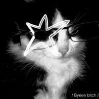 TikTok Account - lovebites4life