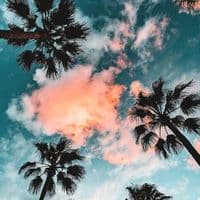 TikTok Account - beatslayersproduction