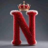 TikTok Account - joynash67