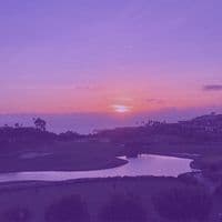 TikTok Account - bunnybunny924