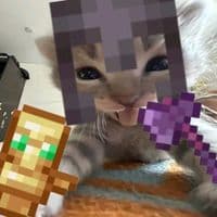 TikTok Account - stiker6650