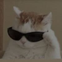 TikTok Account - random.things2226