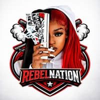 TikTok Account - rebelthisrebelthat