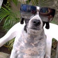 TikTok Account - manchas0714