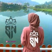 TikTok Account - sitemplate12