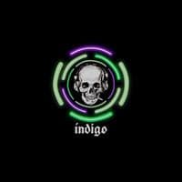 TikTok Account - indigo_985