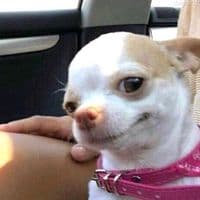 TikTok Account - magictokk2