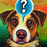 TikTok Account - amymovie0