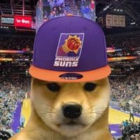 TikTok Account - cantdothatonetwin