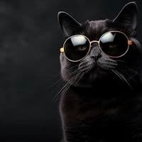 TikTok Account - cetentavece7