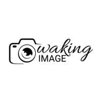 TikTok Account - waking_image