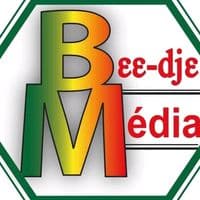 TikTok Account - beedjemedia90