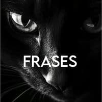 TikTok Account - frasesadversas