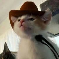 TikTok Account - petslover1194