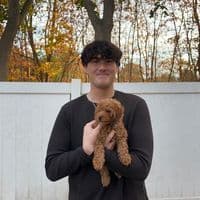 TikTok Account - kyleciauri