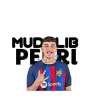 TikTok Account - mudalib..pedri8
