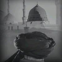 TikTok Account - rizvi.bayan