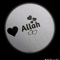 TikTok Account - ybriga2