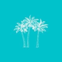 TikTok Account - thecaribeguide