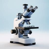 TikTok Account - micromagic6