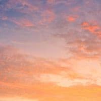 TikTok Account - racicesed