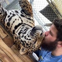 TikTok Account - sean_exotic