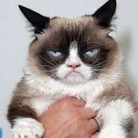 TikTok Account - aakanshameta