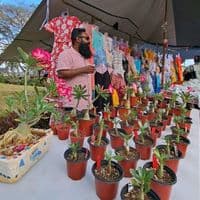 TikTok Account - __coco__yan