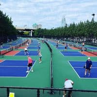 TikTok Account - pickleballpalace