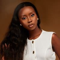 TikTok Account - diananikitaah