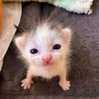 TikTok Account - jfxgw