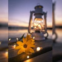 TikTok Account - _rolasmundial