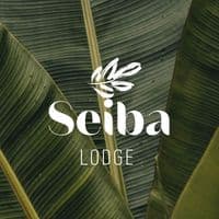 TikTok Account - seiba.lodge