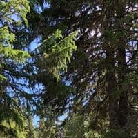 TikTok Account - blablaalbalba