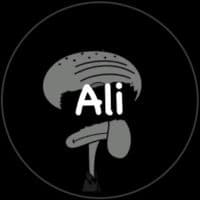 TikTok Account - ali_zlitney1