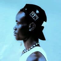 TikTok Account - twoidiots002